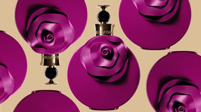 Valentino Valentina Rosa Assoluto    ولنتینو ولنتینا رزا اسولوتو