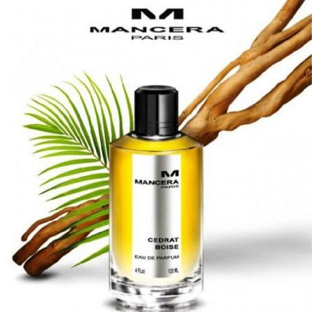 عطر مانسرا سدرات بویز Mancera Cedrat Boise ( مشابه کرید اونتوس مردانه )
