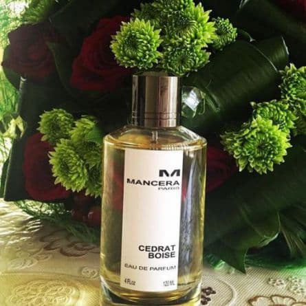 عطر مانسرا سدرات بویز Mancera Cedrat Boise ( مشابه کرید اونتوس مردانه )