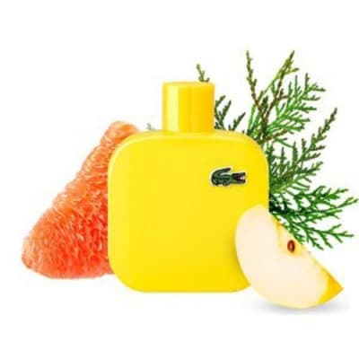 Lacoste L.12.12. (Jaune) Yellow لاگوست ال.12.12 یلو (لاگوست زرد)