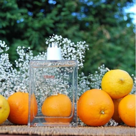 Hermes Terre d'Hermes Eau Tres Fraiche تق د هرمس او تقه فرش