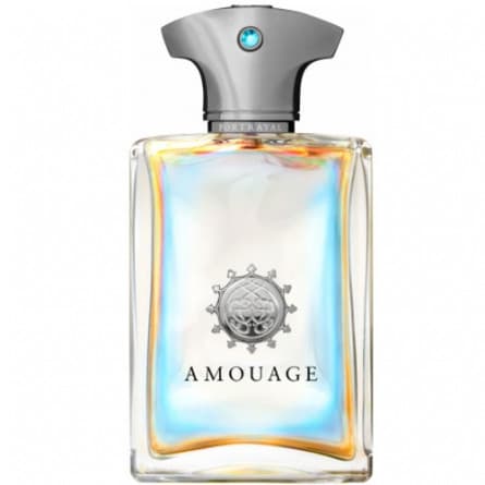 Amouage Portrayal Man آمواج پرتریل مردانه