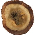 Agarwood (Oud)-عود