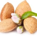 Almond-بادام