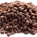 Ambrette (Musk Mallow)-گل ختی