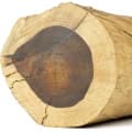 Brazilian Rosewood-اقاقیای برزیلی