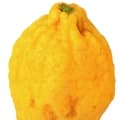 Citron-بالنگ
