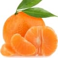 Clementine-نارنگی یافا