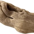 Driftwood-چوب خیس سواحل