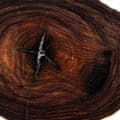 Ebony Tree-چوب آبنوس