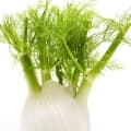 Fennel-رازیانه