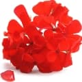 Geranium-گل شمعدانی