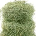 Hay-یونجه خشک