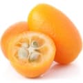 Kumquat-پرتقال کامکوات
