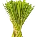 Lemongrass-علف لیمو