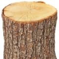Oak-درخت بلوط