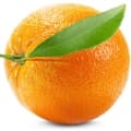 Orange-پرتقال
