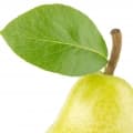 Pear Wood-چوب درخت گلابی