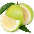Pomelo-دارابی