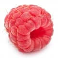 Raspberry-تمشک