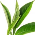 Tea-چای