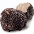 Truffle-قارچ توبر