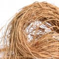 Vetiver-خس خس (علف وتیور)