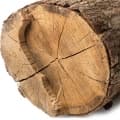 Woody Notes-روایح چوبی