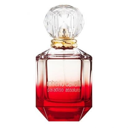 Roberto cavalli Paradiso Assoluto روبرتو کاوالی پارادیسو آسولوتو