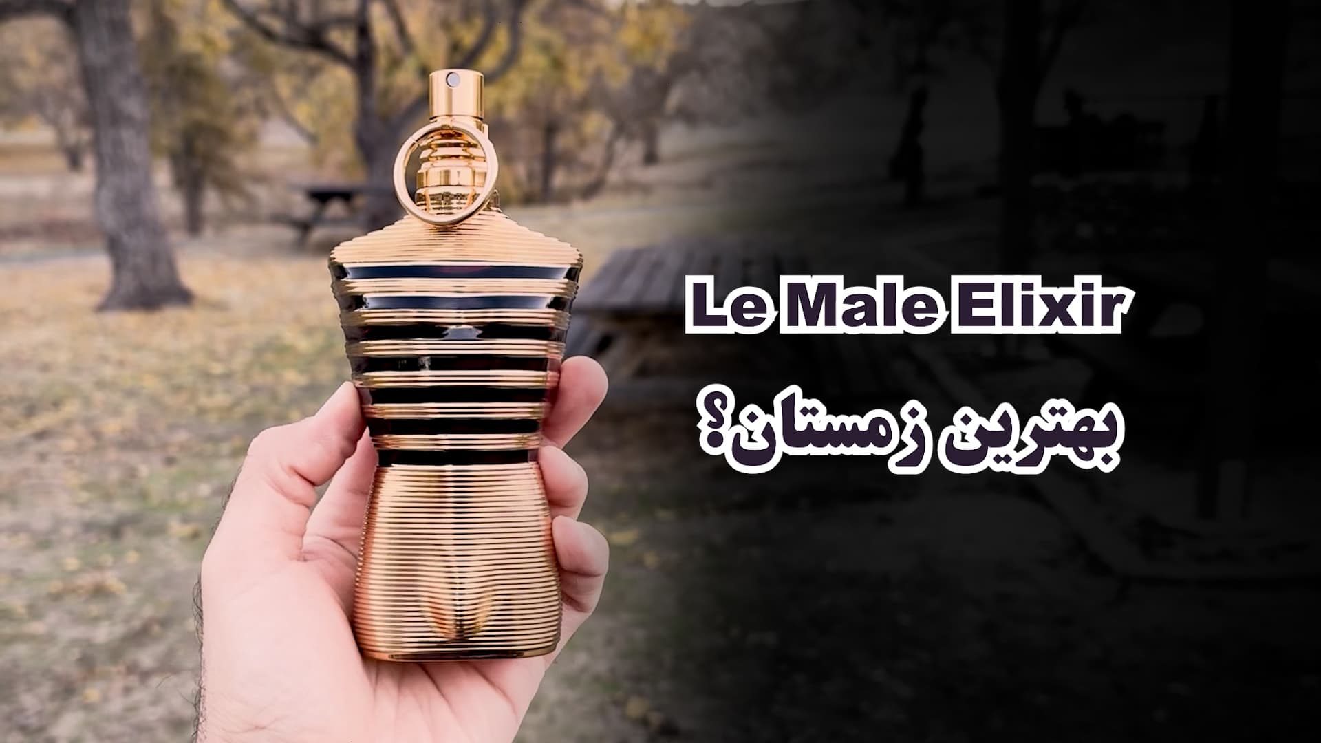 عطر ژان پل گوتیه له مل الیکسیر Jean Paul Gaultier Le Male Elixir (مشابه آرمانی استرانگر ویت یو اینتنسلی)