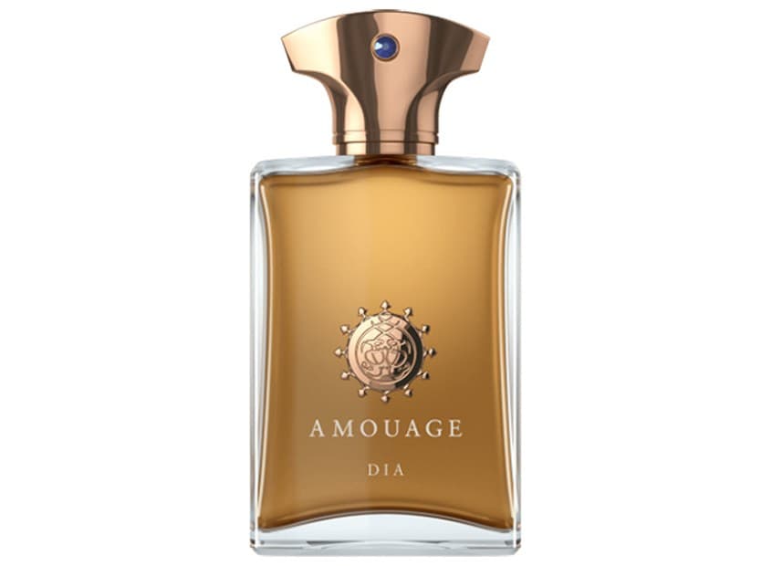 Amouage Dia pour Homme آمواژ دیا پور هوم