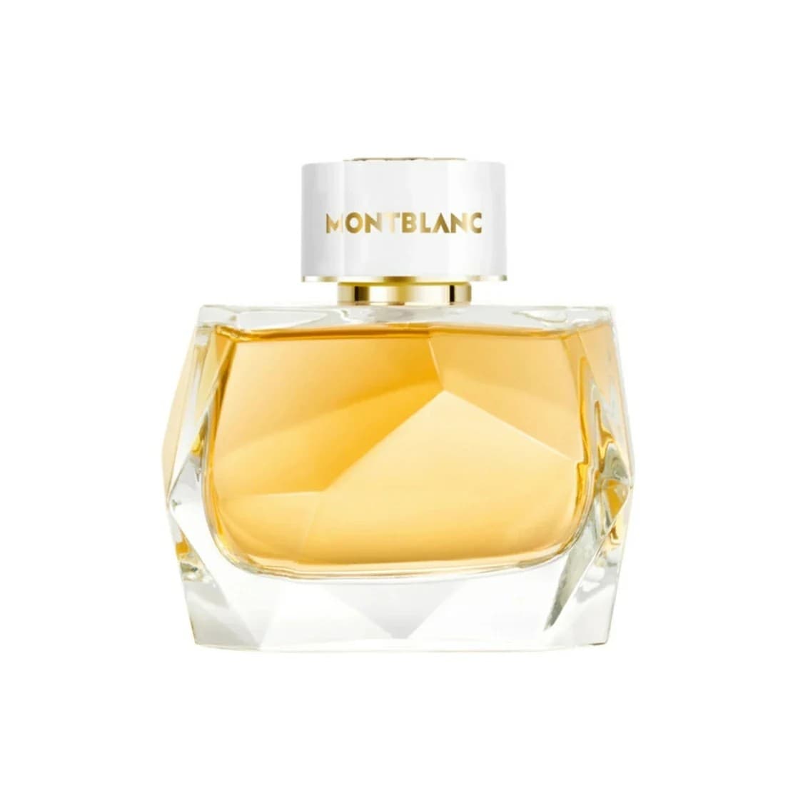 Mont Blanc Signature Absolue مون بلان سیگنچر ابسولوت