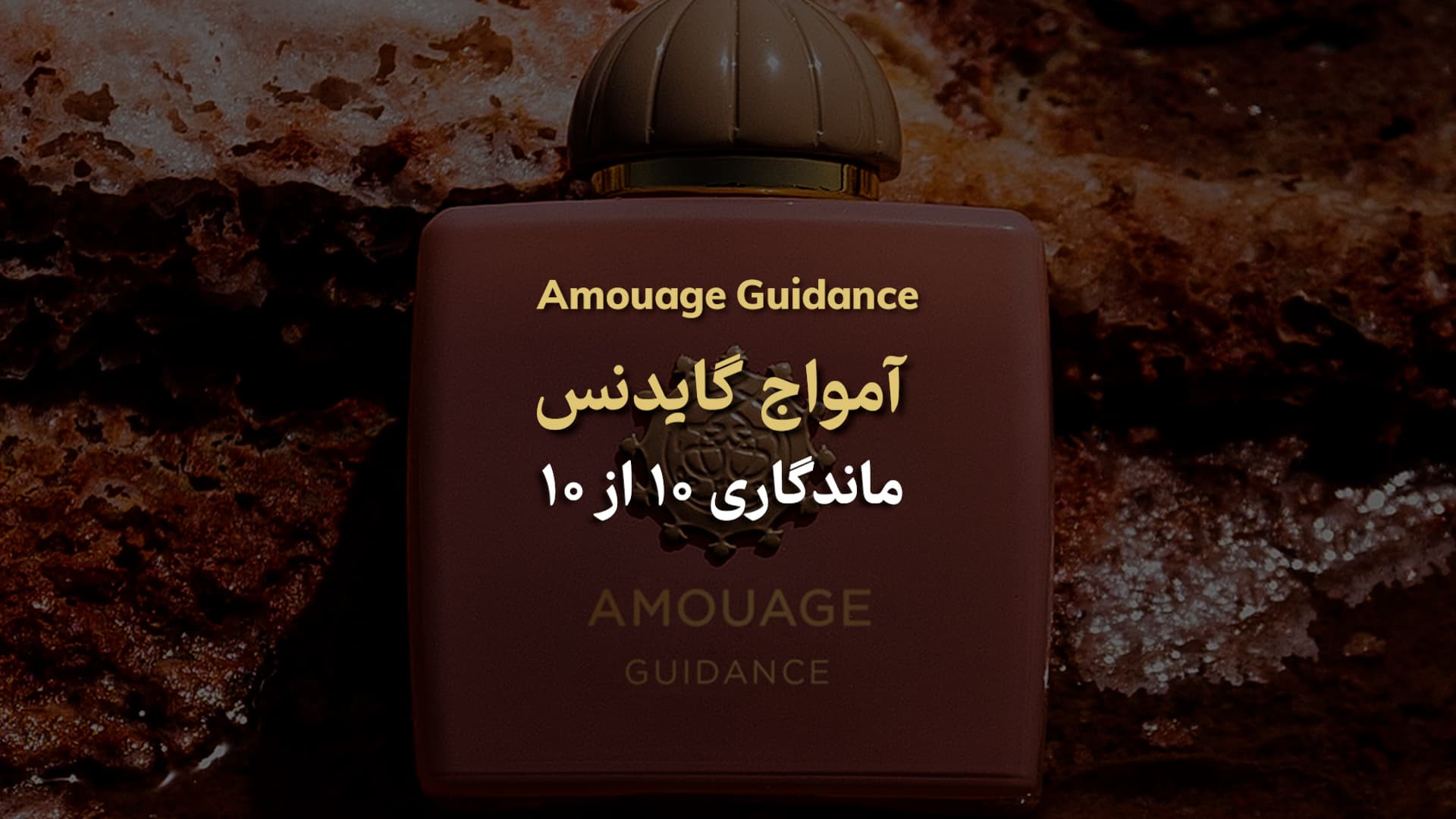 عطر آمواژ گایدنس Amouage Guidance