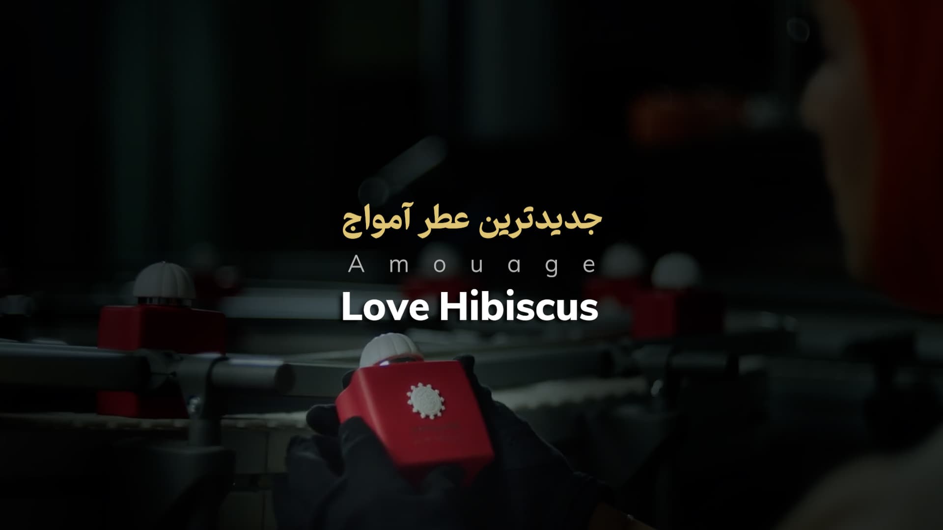 Amouage Love Hibiscus آمواژ لاو هیبیسکاس
