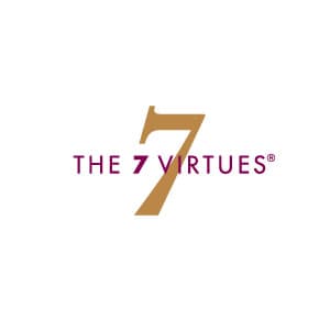 The 7 Virtues - د سون ویرچز