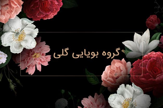معرفی گروه بویایی گلی