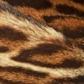 Animal Notes-روایح حیوانی