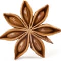 Star Anise-بادیان ختایی