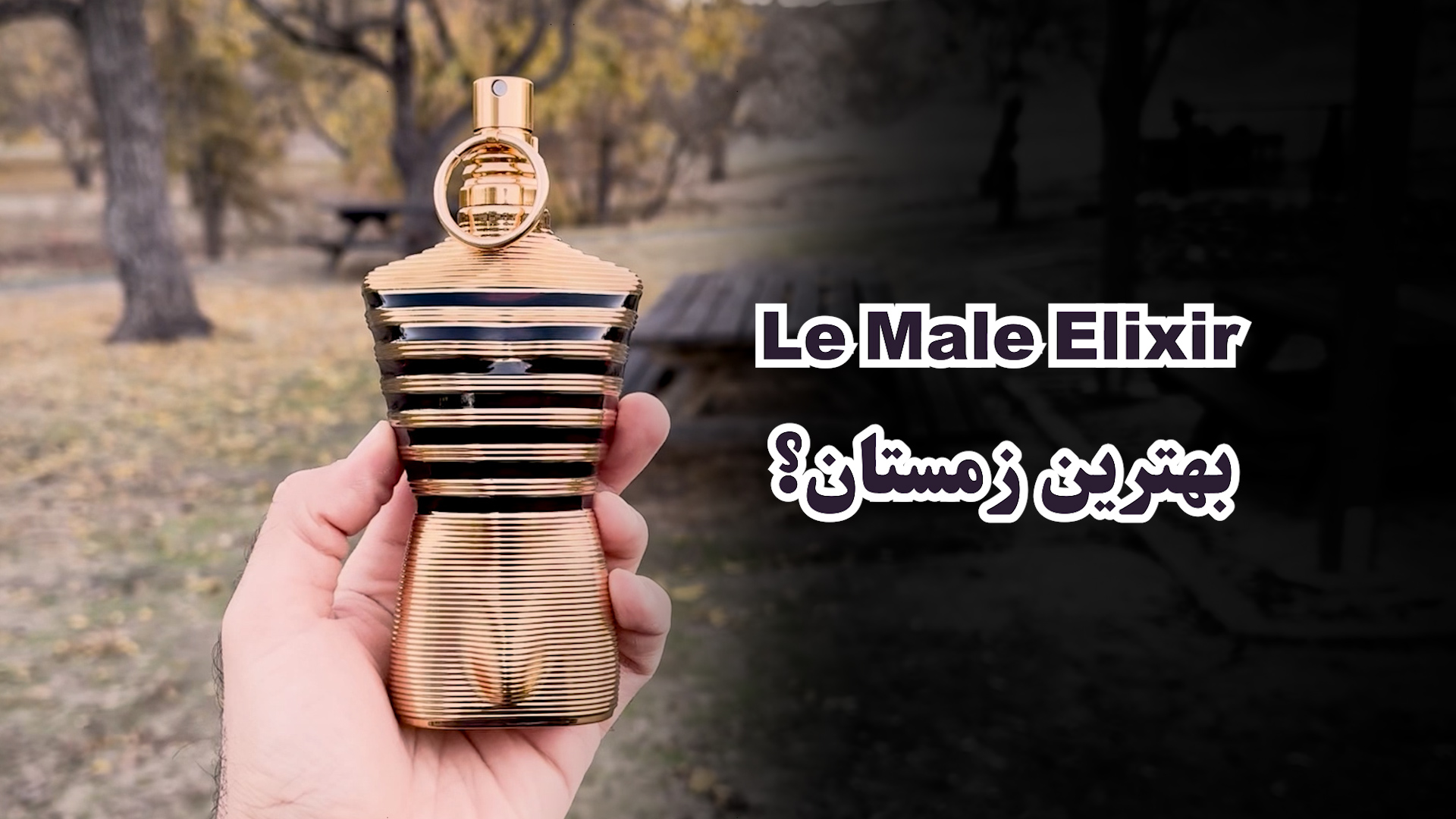 تصویر ویدیو