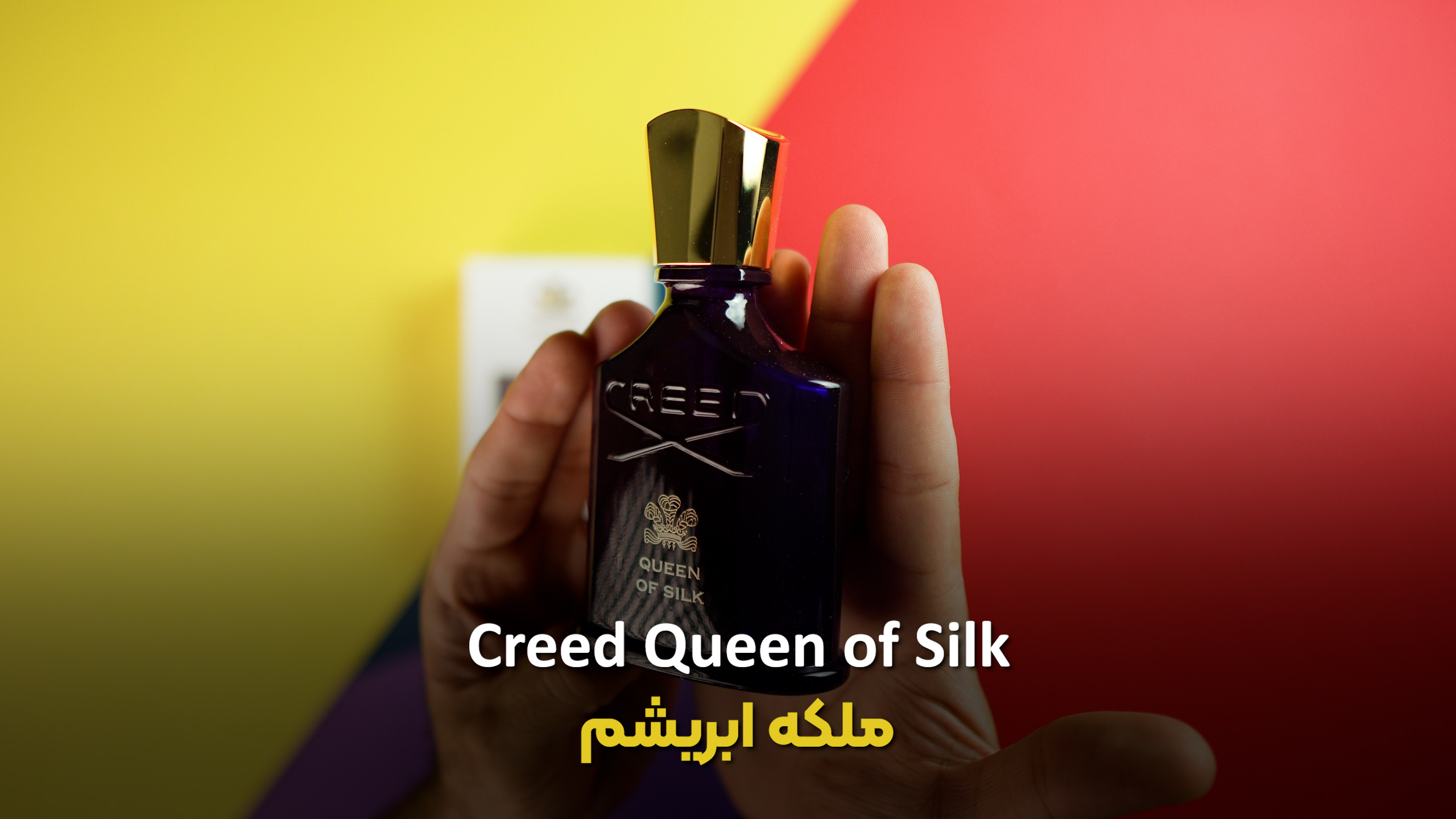 تصویر ویدیو