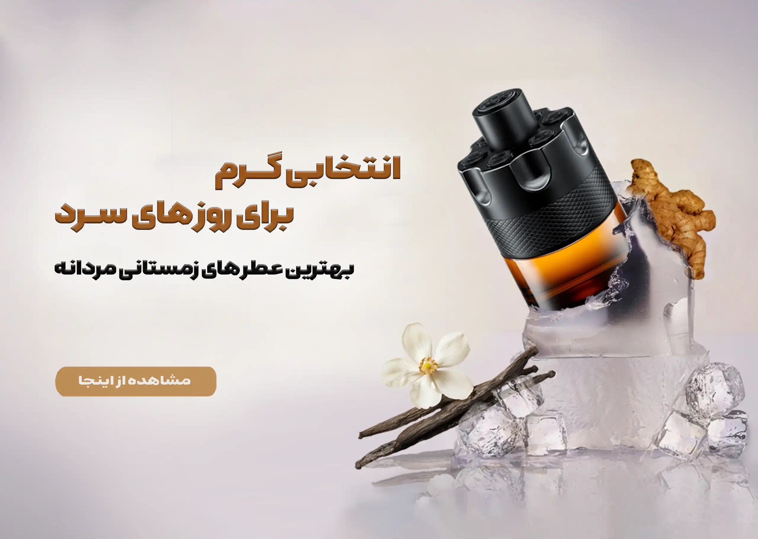 زمستان مردانه copy